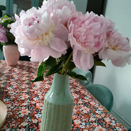 Bed & Breakfast Les Roses Tremieres