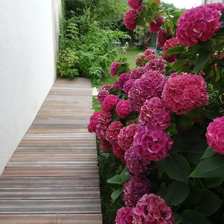 Couette-café Les Roses Trémières 3*