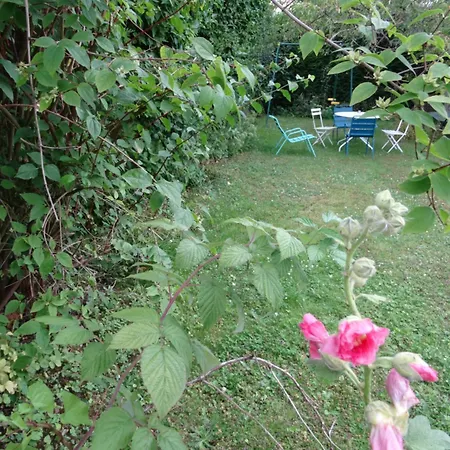Les Roses Tremieres Saclay